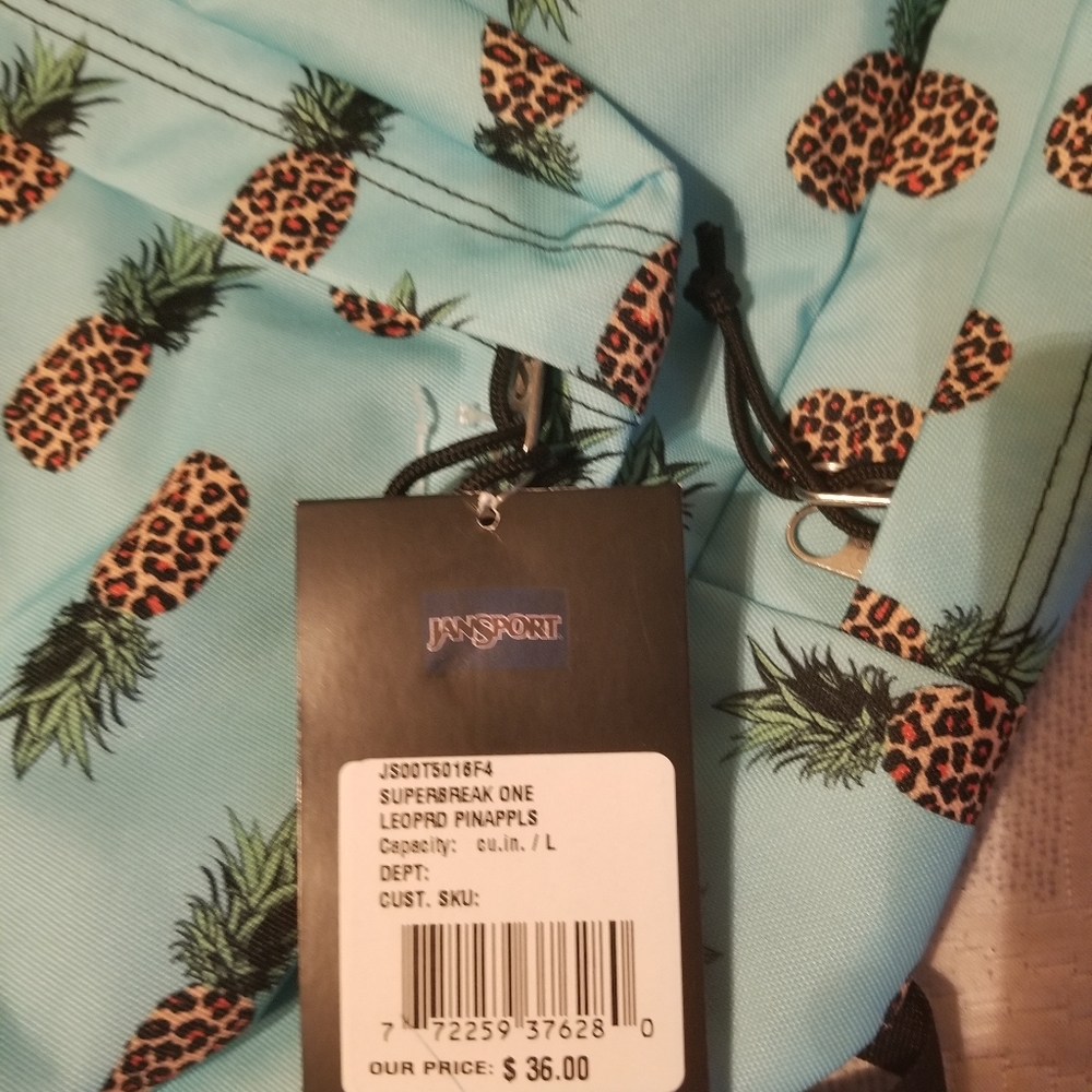 Jansport Backpack